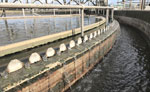 Why is Aeration Important in Wastewater Treatment?