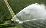 The Process of Treating Wastewater for an Agricultural Farm