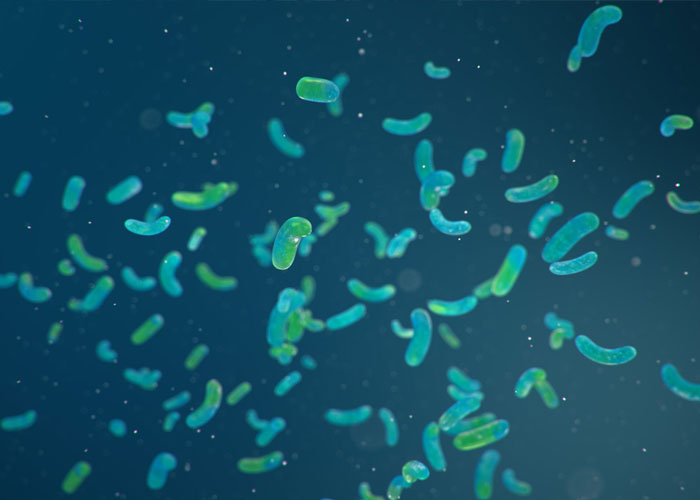 An Insight Into Distributed Wastewater Treatment Systems