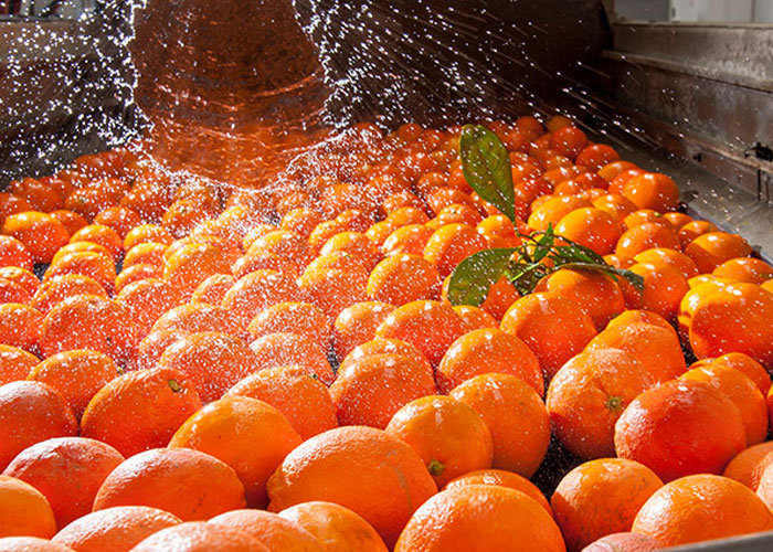 Enlisting Challenges With Food Industry Wastewater
