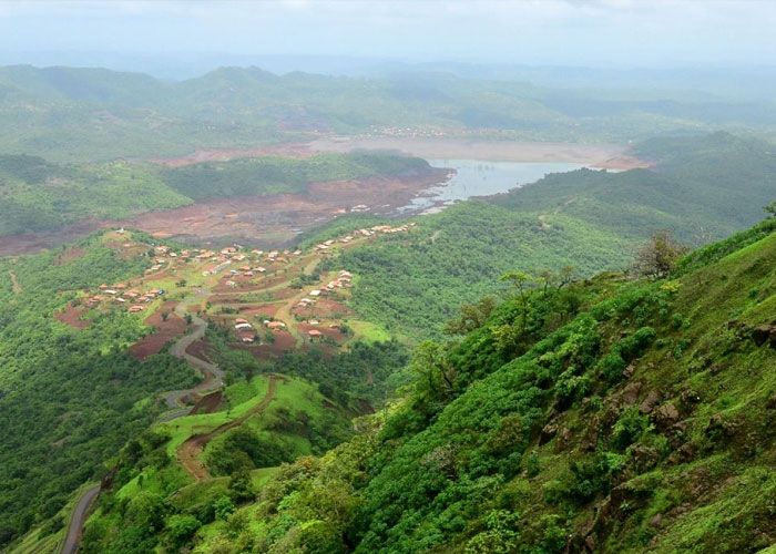 Limitations of Soil Bioengineering for Watershed Restoration