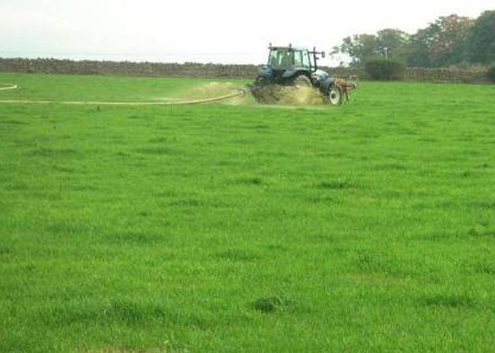 Nitrogen Pollution From Agriculture Is a Growing Issue for Drinking Water