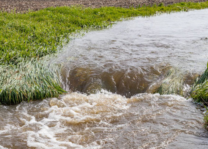 Nitrogen Pollution From Agriculture Is a Growing Issue for Drinking Water