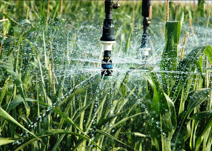 Rainwater Harvesting and Rainwater Efficient Use