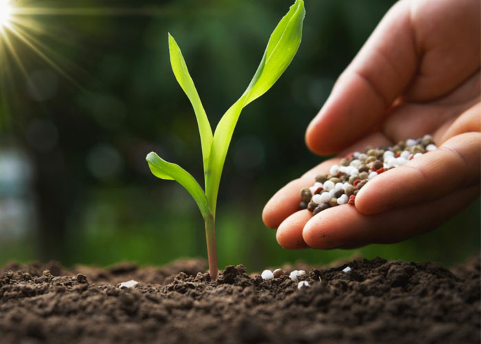 What Happens in a Sewage Treatment Plant?