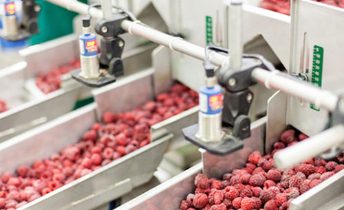 Enlisting Challenges With Food Industry Wastewater