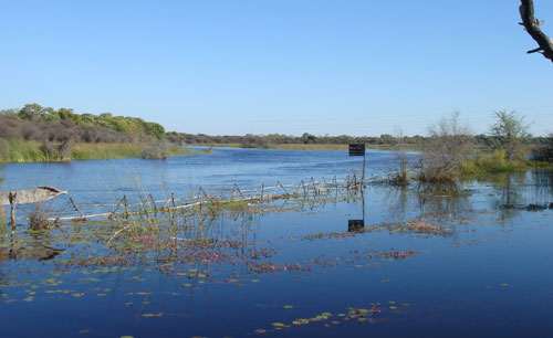 How Climate Change Affects Freshwater Availability and Distribution