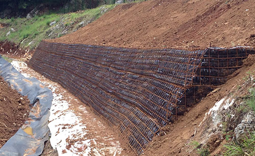 Limitations of Soil Bioengineering for Watershed Restoration