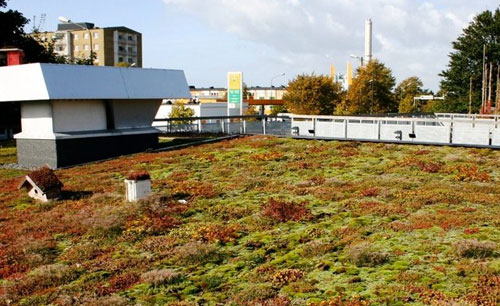 The Perception and Implementation of Onsite Sanitation